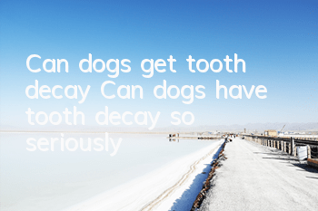 Can dogs get tooth decay? Can dogs have tooth decay so seriously?