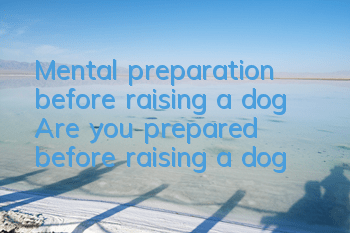 Mental preparation before raising a dog Are you prepared before raising a dog?