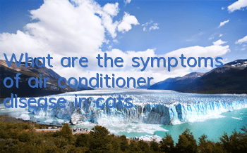 What are the symptoms of air conditioner disease in cats?