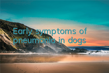Early symptoms of pneumonia in dogs