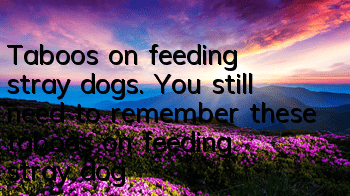 Taboos on feeding stray dogs. You still need to remember these taboos on feeding stray dogs!