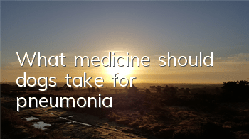 What medicine should dogs take for pneumonia?