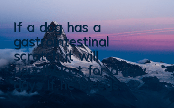 If a dog has a gastrointestinal scratch, it will usually last for a few days if he bleeds.
