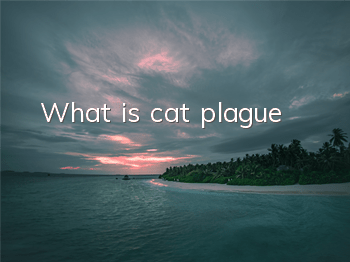 What is cat plague
