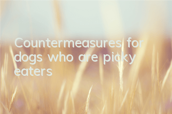 Countermeasures for dogs who are picky eaters