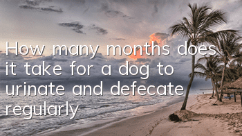 THow many months does it take for a dog to urinate and defecate regularly?