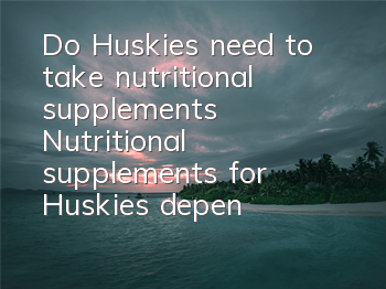 Do Huskies need to take nutritional supplements? Nutritional supplements for Huskies depend on their body needs!