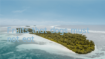 Fruits that dogs must not eat