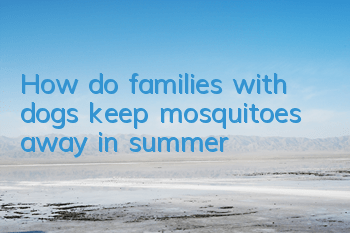 How do families with dogs keep mosquitoes away in summer?