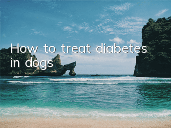 How to treat diabetes in dogs