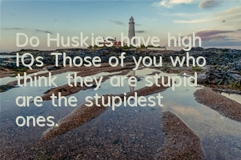 Do Huskies have high IQs? Those of you who think they are stupid are the stupidest ones.