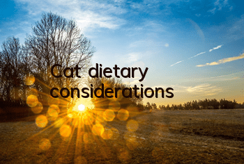 Cat dietary considerations