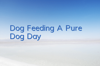 Dog Feeding A Pure “Dog” Day
