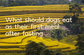 What should dogs eat as their first meal after fasting?