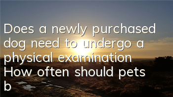 Does a newly purchased dog need to undergo a physical examination? How often should pets be examined?