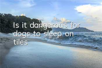Is it dangerous for dogs to sleep on tiles?