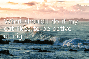 What should I do if my cat likes to be active at night?