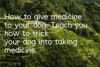 How to give medicine to your dog. Teach you how to “trick” your dog into taking medicine.