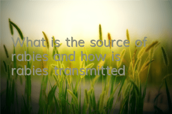 What is the source of rabies and how is rabies transmitted?