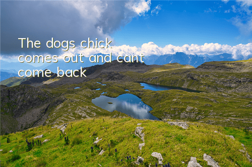 The dog’s chick comes out and can’t come back