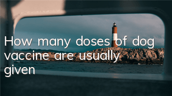 How many doses of dog vaccine are usually given?