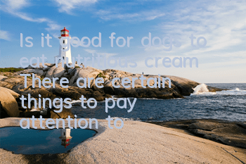Is it good for dogs to eat nutritious cream? There are certain things to pay attention to when choosing nutritious cream.