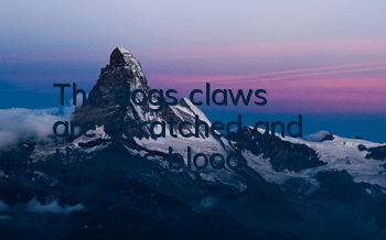 The dog's claws are scratched and there is blood