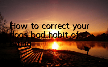 How to correct your dog’s bad habit of biting?