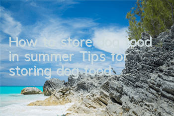 How to store dog food in summer? Tips for storing dog food