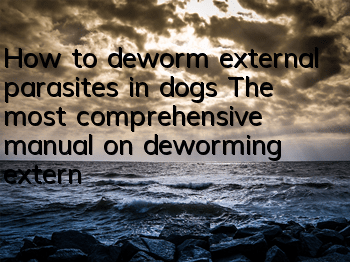 How to deworm external parasites in dogs The most comprehensive manual on deworming external parasites in dogs