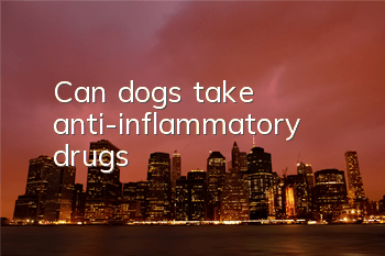 TCan dogs take anti-inflammatory drugs?