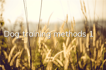 Dog training methods 1