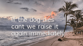 If the dog dies, can’t we raise it again immediately?