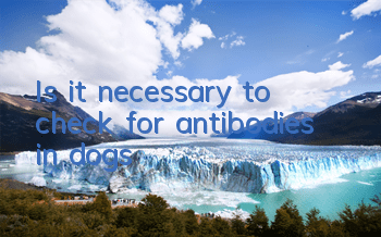 Is it necessary to check for antibodies in dogs?