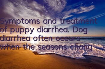Symptoms and treatment of puppy diarrhea. Dog diarrhea often occurs when the seasons change.