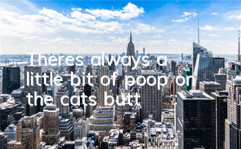 There's always a little bit of poop on the cat's butt