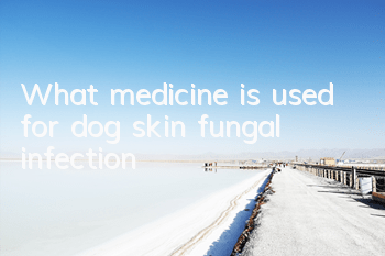 TWhat medicine is used for dog skin fungal infection?