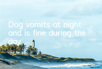 Dog vomits at night and is fine during the day