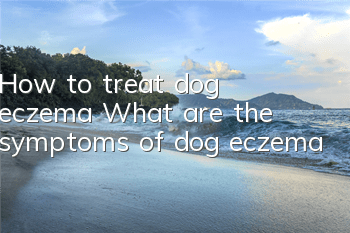How to treat dog eczema What are the symptoms of dog eczema
