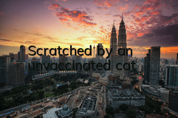 Scratched by an unvaccinated cat