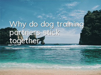Why do dog training partners stick together?
