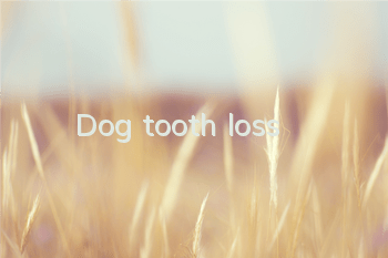 Dog tooth loss