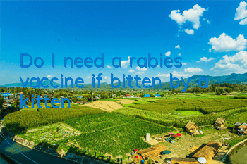 Do I need a rabies vaccine if bitten by a kitten?