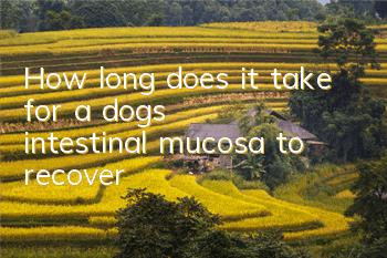How long does it take for a dog’s intestinal mucosa to recover?