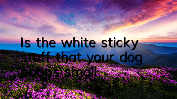 Is the white sticky stuff that your dog poops small?