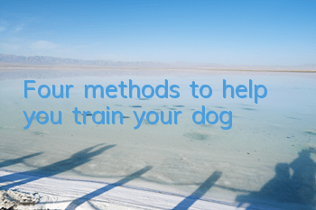 Four methods to help you train your dog