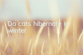 Do cats hibernate in winter?
