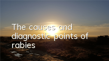 The causes and diagnostic points of rabies
