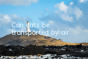 Can cats be transported by air?