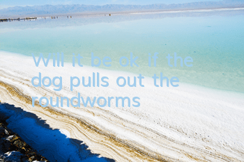 Will it be ok if the dog pulls out the roundworms?